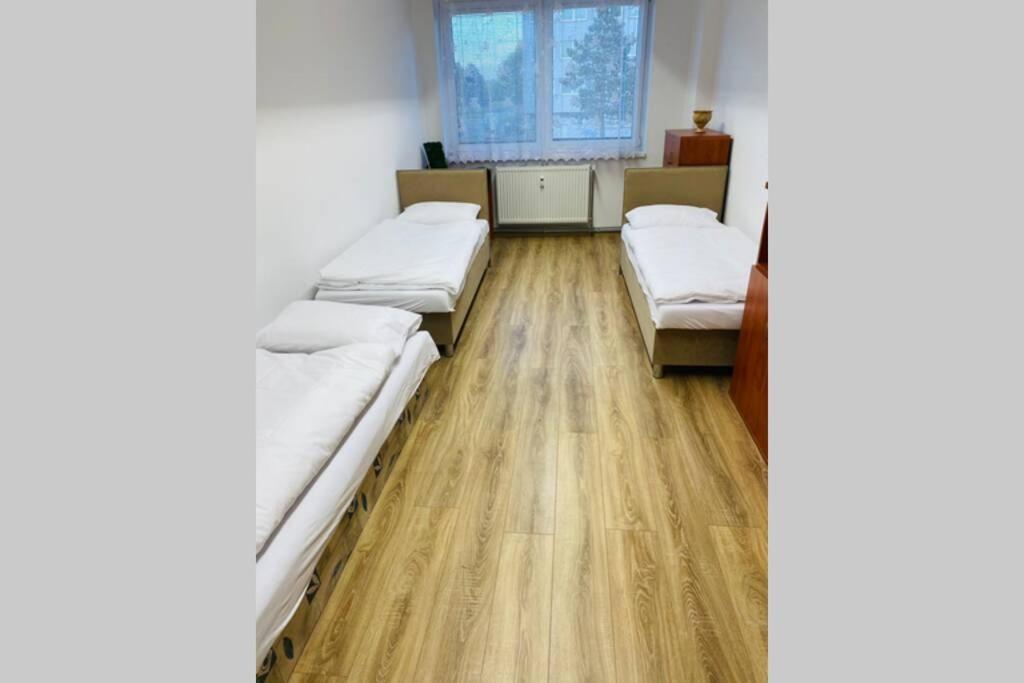 Apartman Solax, Ucnovska 8, Kosice Saca Exteriör bild